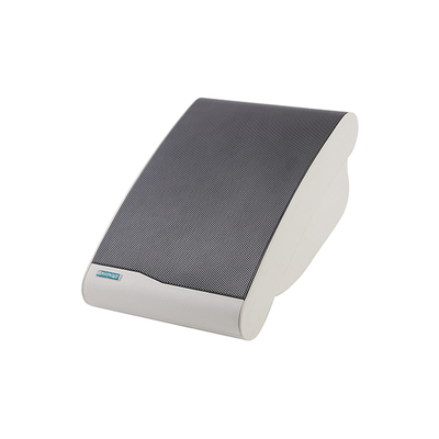 壁挂扬声器DSP106II