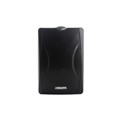 DSP6604N 网络壁挂音箱